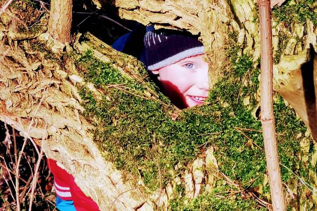 Kind schaut durch Lücke in bemoostem Baum